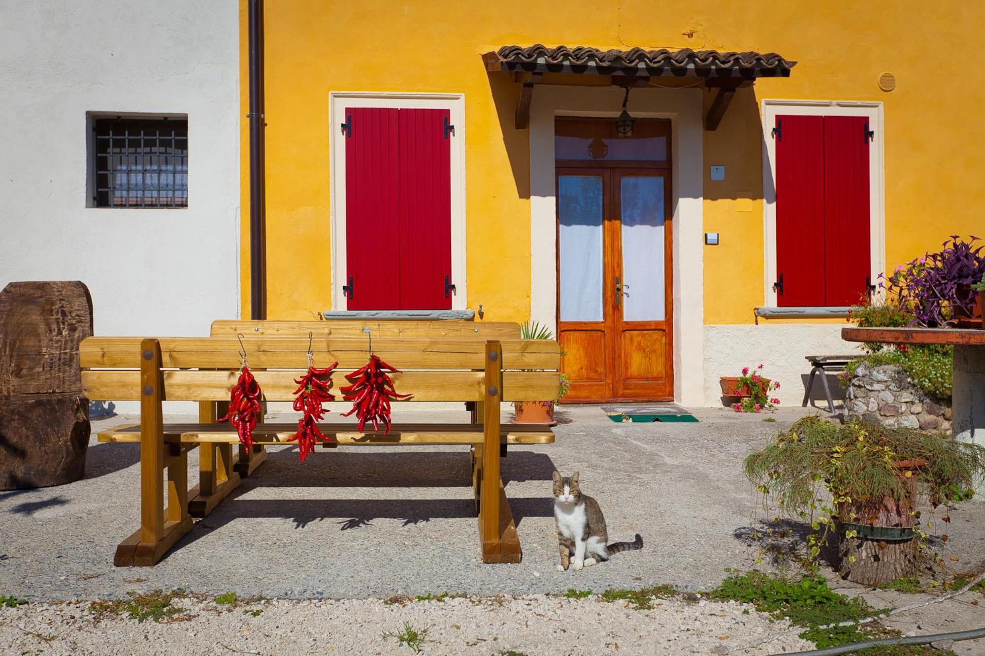 Agriturismo Con Cucina Tipica Nuova Scardua Cavriana Buitenkant foto