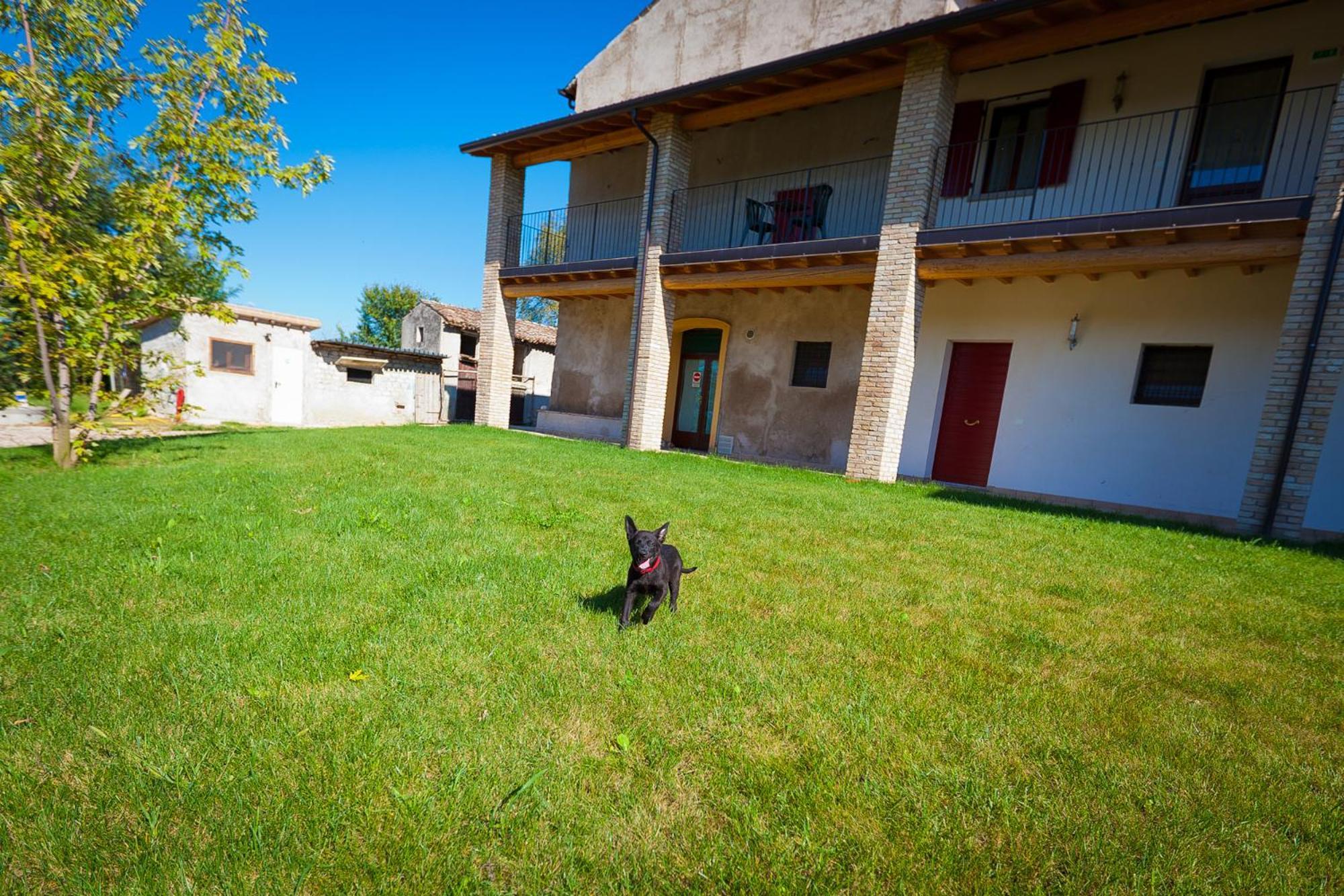 Agriturismo Con Cucina Tipica Nuova Scardua Cavriana Buitenkant foto