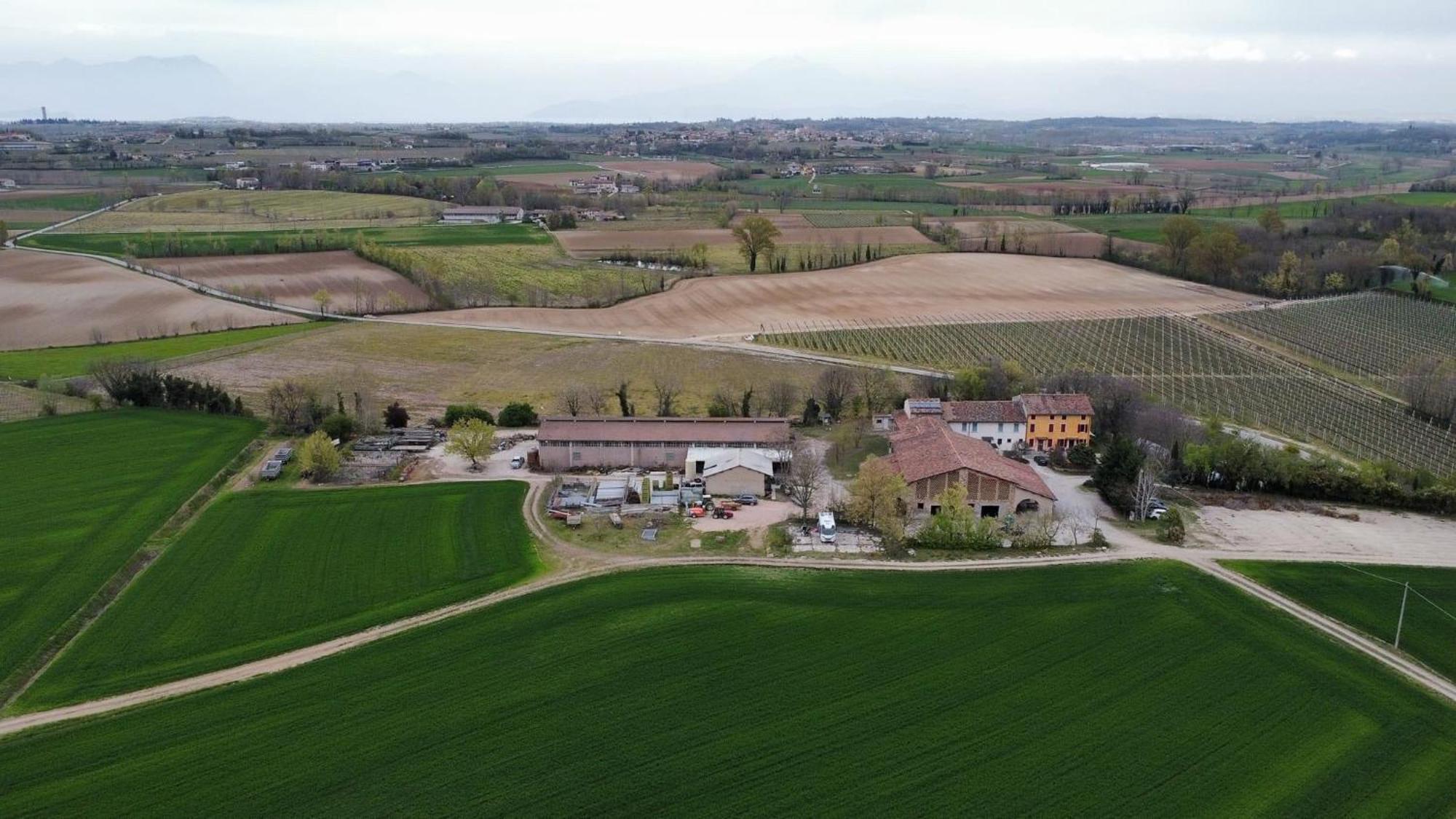 Agriturismo Con Cucina Tipica Nuova Scardua Cavriana Buitenkant foto