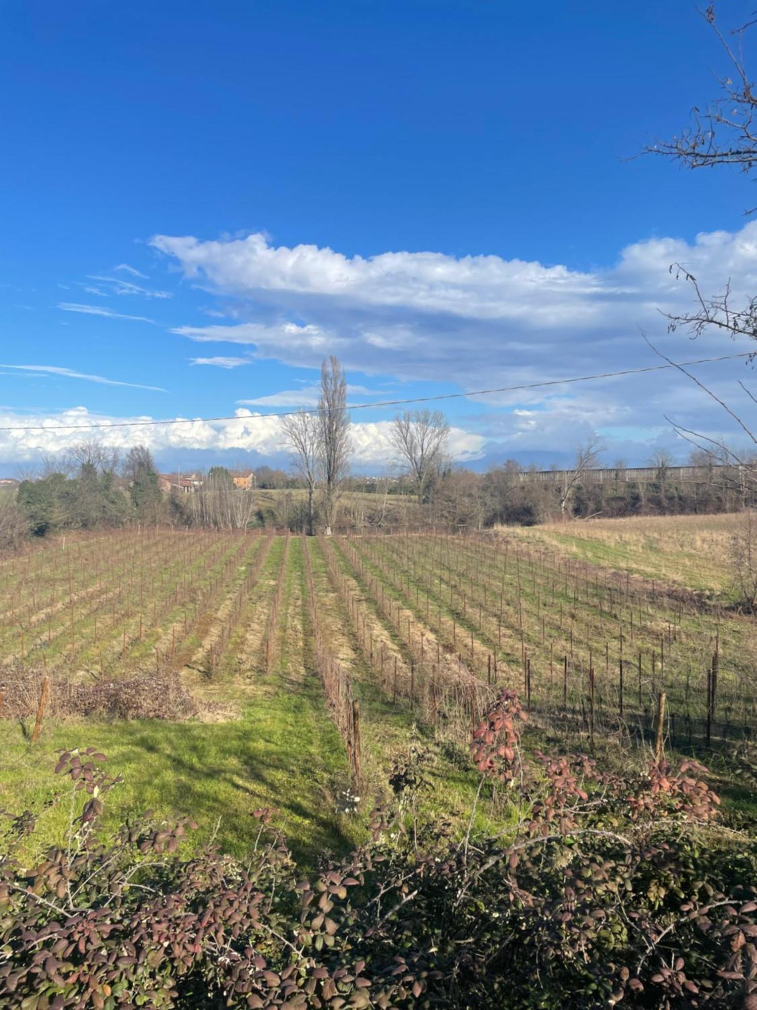 Agriturismo Con Cucina Tipica Nuova Scardua Cavriana Buitenkant foto