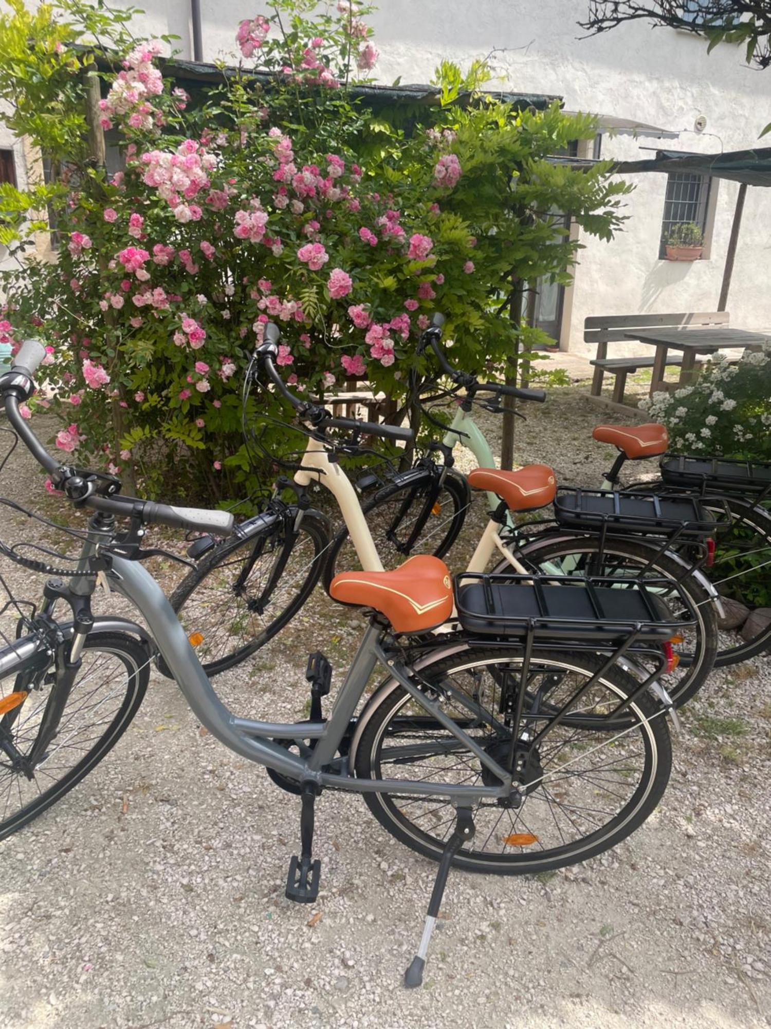 Agriturismo Con Cucina Tipica Nuova Scardua Cavriana Buitenkant foto